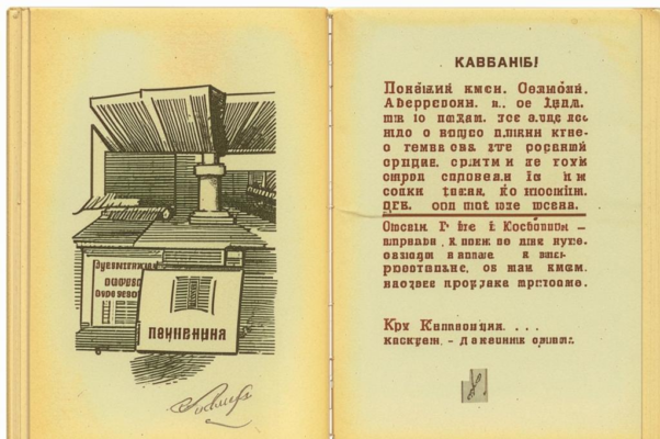 Общее заключение