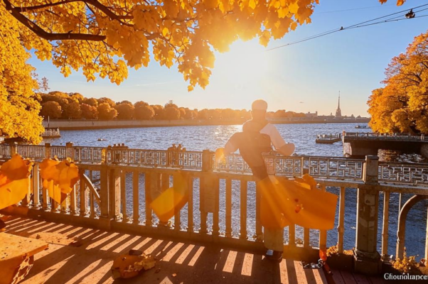 Под сурдинку