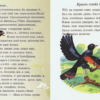 Экспромт («И мы когда-то, как Тиль-Тиль…»)