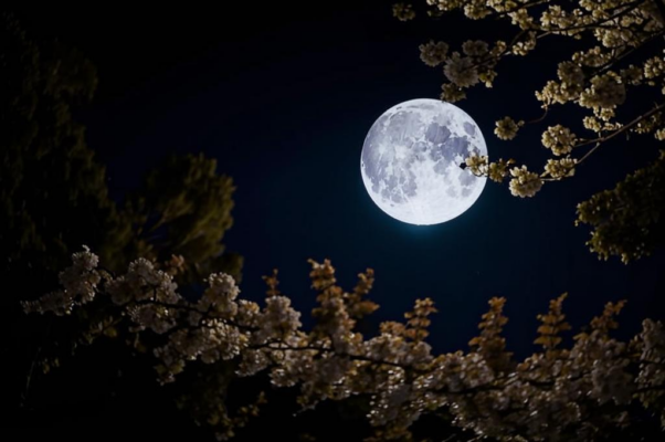 Berceuse («миньоне…»)