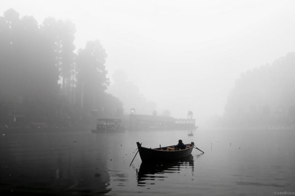 В туманный день