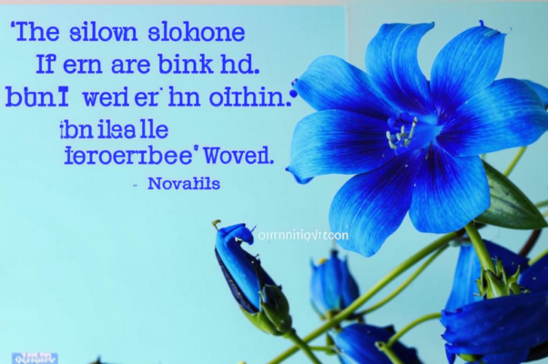 Голубой цветок