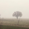 Запад погас