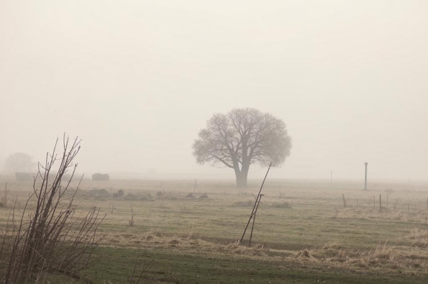 Запад погас