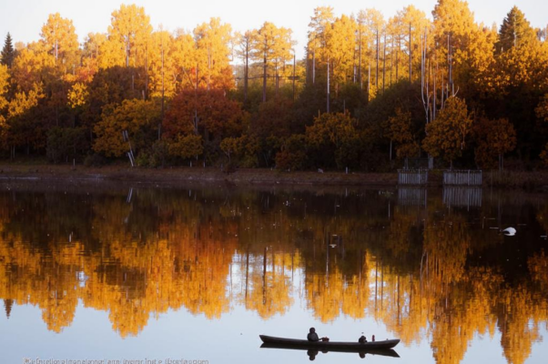На реке форелевой