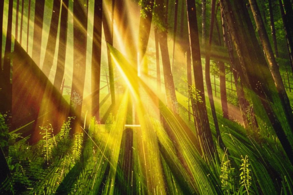 Солнцу предвешнему!