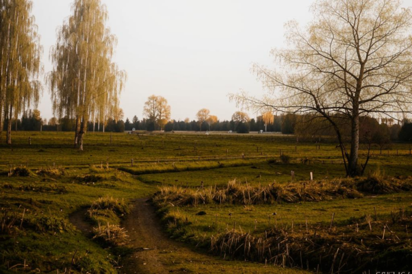 У моря и озер