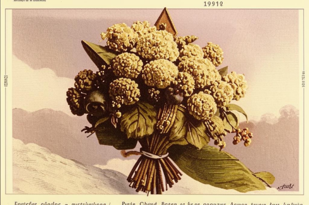 Цветок букета дам