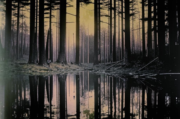 Что шепчет парк