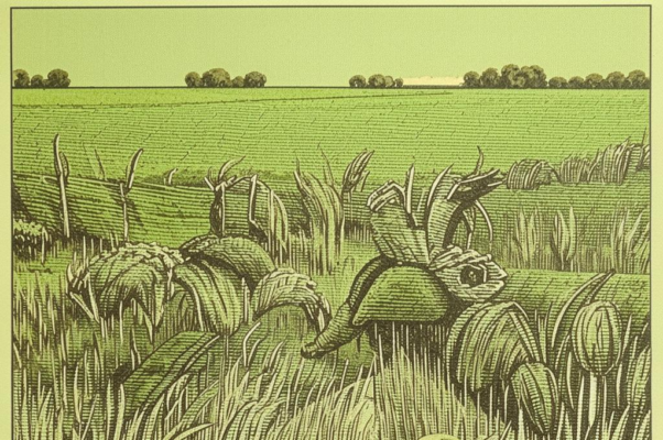 Эгополонез