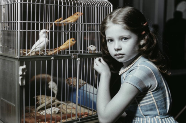 «В косы вплетены лучи...»