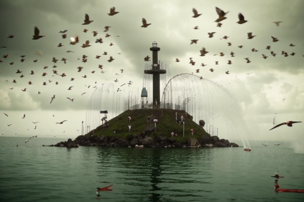 Киты у Курильских островов