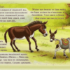 На Шенгели