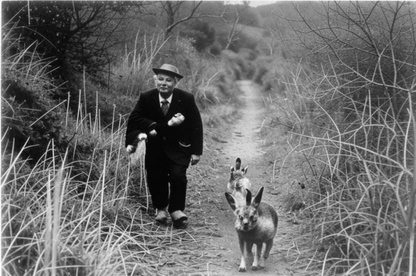 Сонет («До…»)