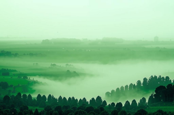 «...И хвойные нахлынули холмы...»