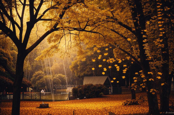 «Настало время листопада...»