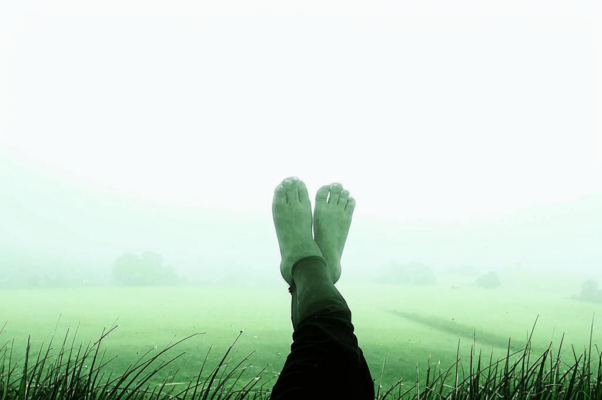 «Трава окатывает ноги...»