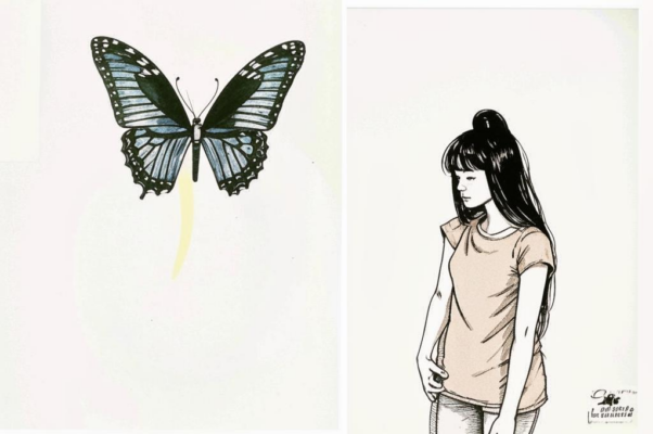 Бабочка («Что общего, судите сами…»)