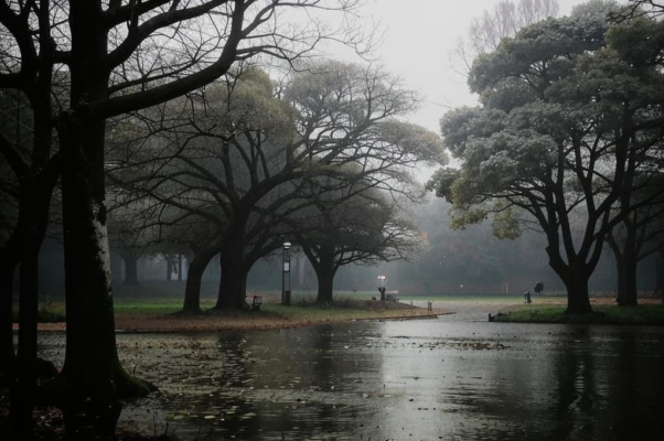 Прощание с садом