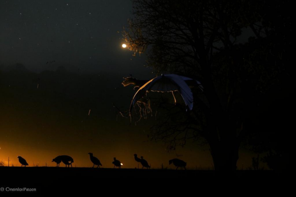 Успение («Крестный ход.  Успенье лета…»)