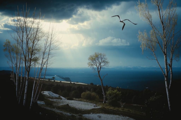 Полдень («Синее, синее небо.  Томящая даль…»)