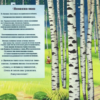Родина («Касаясь трех великих океанов…»)