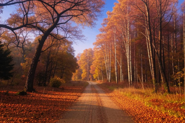 «На пыльном разлоге...»