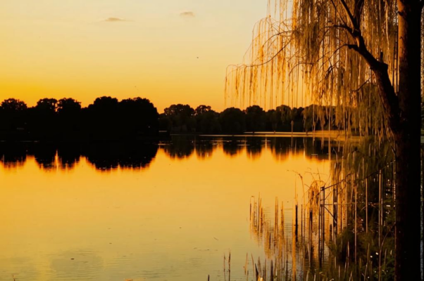 «Радостный тихий вечер...»