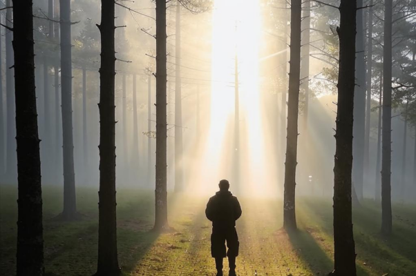 Пан («Похмельны сыростью поля…»)