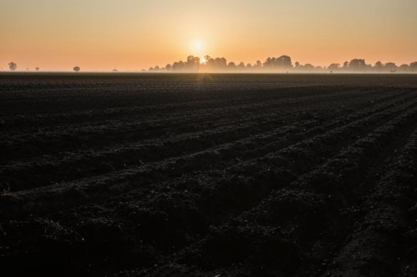 Притча о посеянном