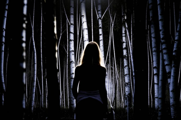 «В лесу дремучем заблудилась в ночь я...»