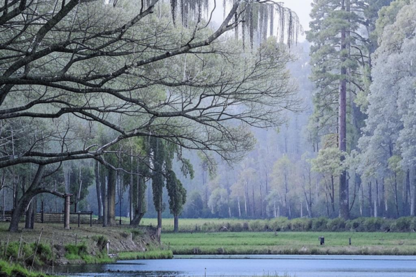 «Утихомирились, угомонились...»