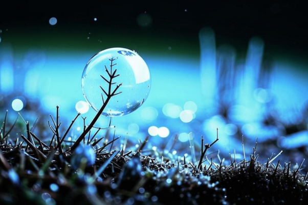 «Я был росою...»