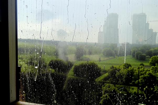 Дождь («Дождь,/ ливший позавчера еще…»)