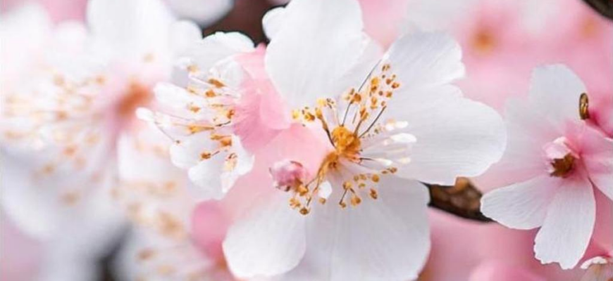 Информация и интуиция