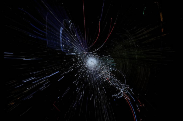 На белеющем в ночи листе