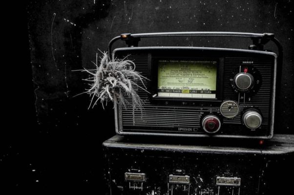 Сон («Как дерево стареет и устает металл…»)