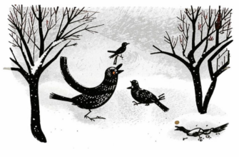 «В небольшой комнатушке / с огромным окном...»