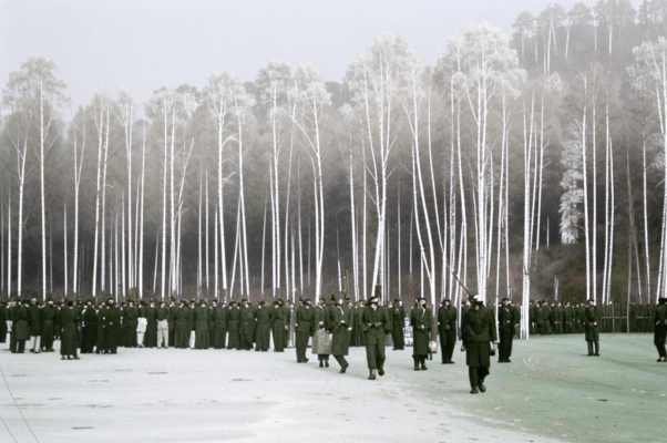 «Стала от мороза...»