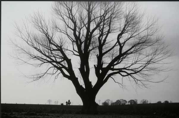 Бесстыдница