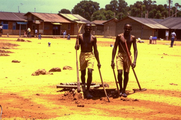 Первый плуг