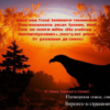 Поздняя благодарность