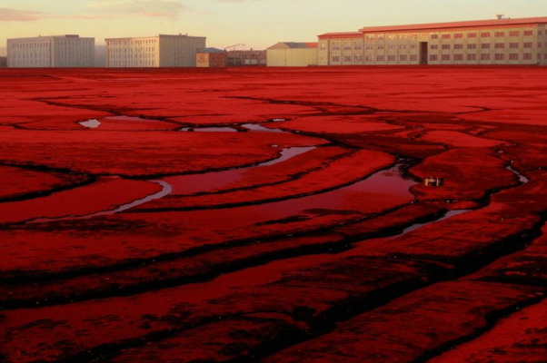 Строгая любовь