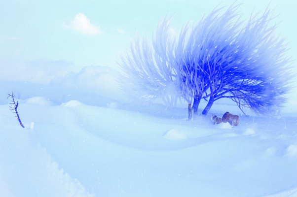 «Снежным облаком летели...»