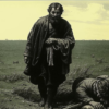 «В поле не видно ни зги...»