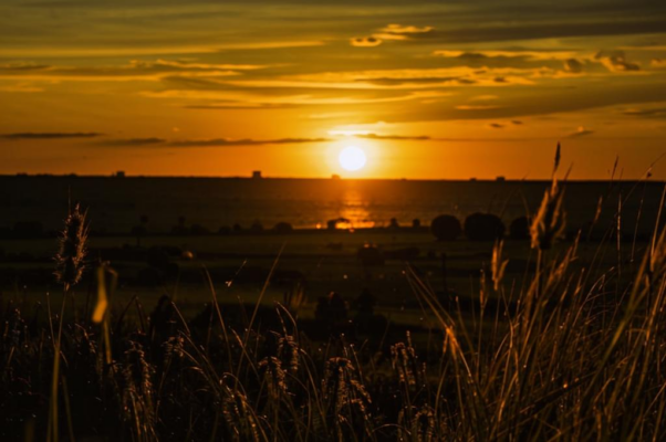 «В стране сурового изгнанья...»