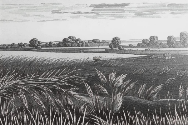 «Зачем, скажи...»