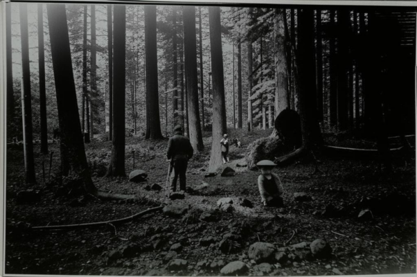 «Иду, путей не выбирая...»