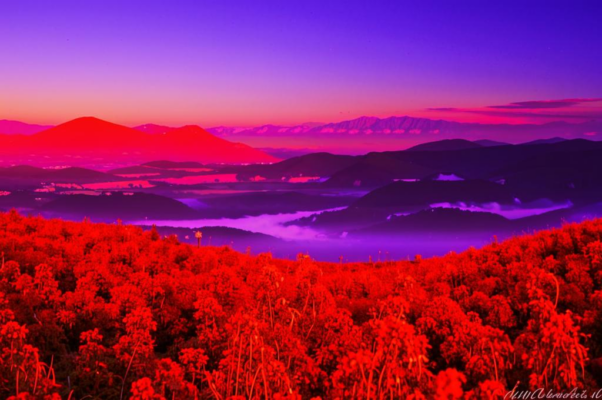 «На заре, заре румяной...»