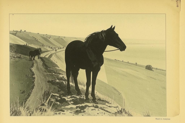 «Я ухо приложил к земле...»